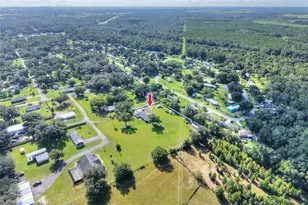 4220 Howell Ln, Mulberry, FL 33860 - Photo 60
