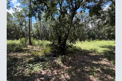 3165 Stewart Boulevard, Kissimmee, FL 34746 - Photo 12