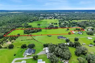 4310 Turner Rd, Mulberry, FL 33860 - Photo 10
