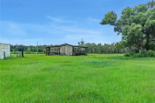 4310 Turner Rd, Mulberry, FL 33860 - Photo 24