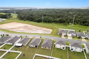 3392 Lounging Wren Ln, Bartow, FL 33830 - Photo 40