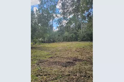 1746 Country Woods Drive, Lakeland, FL 33809 - Photo 2