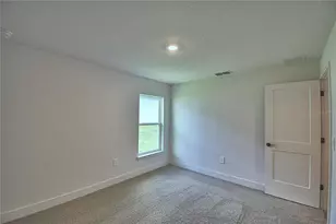 4479 Juliana Lake Dr, Auburndale, FL 33823 - Photo 26