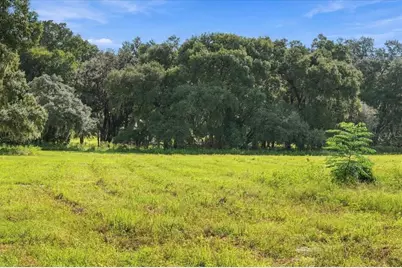 39410 Sparkman Road, Dade City, FL 33525 - Photo 14