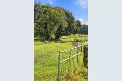 39410 Sparkman Road, Dade City, FL 33525 - Photo 4