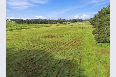 39410 Sparkman Road, Dade City, FL 33525 - Photo 16