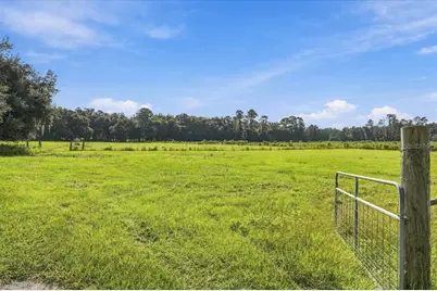 39410 Sparkman Road, Dade City, FL 33525 - Photo 8