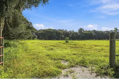 39410 Sparkman Road, Dade City, FL 33525 - Photo 12
