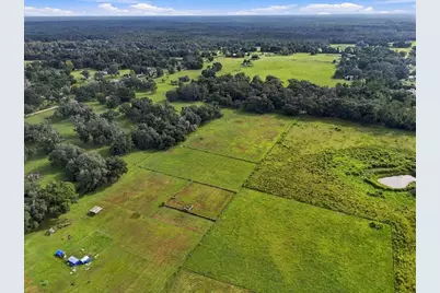 39410 Sparkman Road, Dade City, FL 33525 - Photo 26