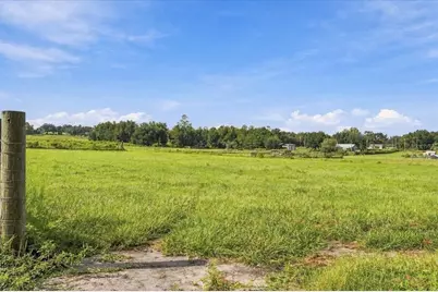 39410 Sparkman Road, Dade City, FL 33525 - Photo 10