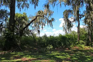 850 Hanover Wy, Lakeland, FL 33813 - Photo 94