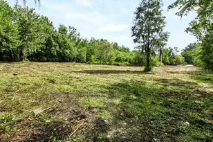 13016 Somerlott Pl, Dover, FL 33527 - Photo 90