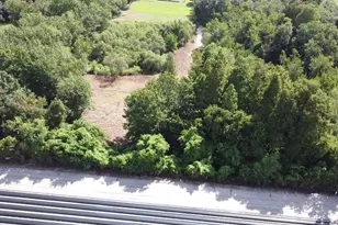 13016 Somerlott Pl, Dover, FL 33527 - Photo 98
