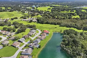 4458 Fairway Oaks Dr, Mulberry, FL 33860 - Photo 74
