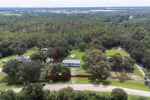 4129 Woodsridge Dr, Polk City, FL 33868 - Photo 2