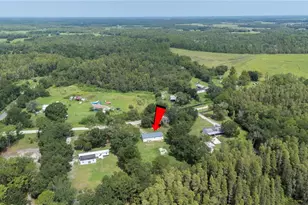4129 Woodsridge Dr, Polk City, FL 33868 - Photo 34