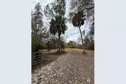 15030 N 301 Highway, Thonotosassa, FL 33592 - Photo 10