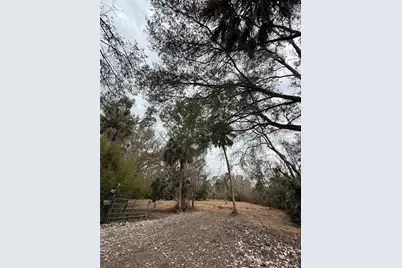 15030 N 301 Highway, Thonotosassa, FL 33592 - Photo 4