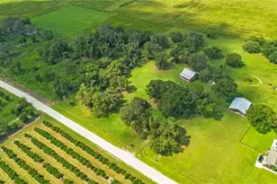 454 Rest Haven Rd, Zolfo Springs, FL 33890 - Photo 52