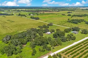 454 Rest Haven Rd, Zolfo Springs, FL 33890 - Photo 48