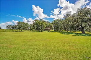 454 Rest Haven Rd, Zolfo Springs, FL 33890 - Photo 42