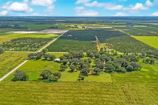 454 Rest Haven Rd, Zolfo Springs, FL 33890 - Photo 56