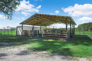 15155 Rockridge Rd, Polk City, FL 33868 - Photo 42