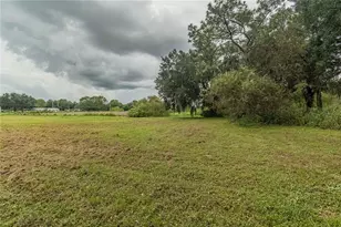 4233 Cindy Rd, Lakeland, FL 33810 - Photo 46