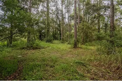 4233 Cindy Road, Lakeland, FL 33810 - Photo 44