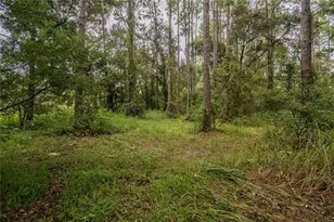 4233 Cindy Rd, Lakeland, FL 33810 - Photo 44