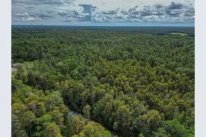 0 Poyner Oaks Road N, Polk City, FL 33868 - Photo 8