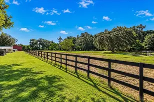 15940 NW 16 Ave, Citra, FL 32113 - Photo 44