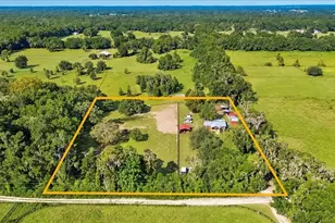 15940 NW 16 Ave, Citra, FL 32113 - Photo 4