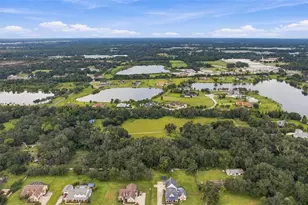 2647 McIntosh Rd, Dover, FL 33527 - Photo 8