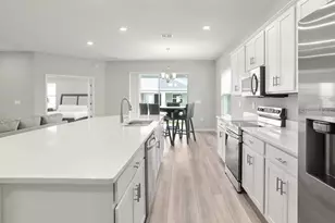 143 Dancing Dahlia St, Ruskin, FL 33570 - Photo 8