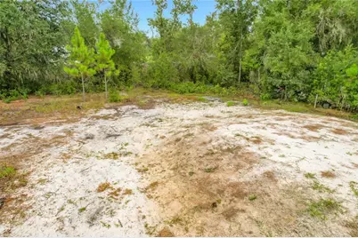 9717 Moore Road, Lakeland, FL 33809 - Photo 36