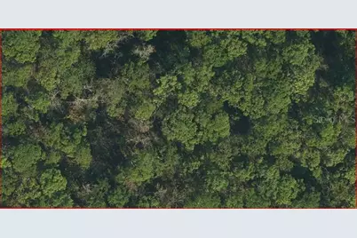 Sweetwater Trail, Kissimmee, FL 34747 - Photo 2