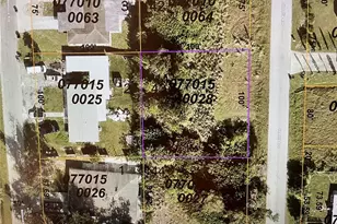 Lot 43 Venetia Ave, North Port, FL 34287 - Photo 1
