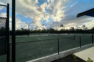 12440 Wellen Golf St, Venice, FL 34293 - Photo 30