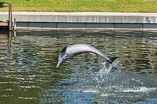 4 Windsor Dr, Englewood, FL 34223 - Photo 2