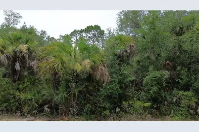14059 Hughes Avenue, Port Charlotte, FL 33953 - Photo 4
