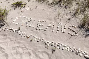 950 Tarpon Center Dr, Venice, FL 34285 - Photo 54