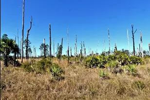 Ewen Circle, North Port, FL 34288 - Photo 1