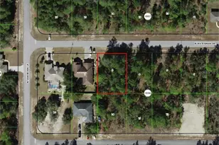 6649 N Waterman Dr, Dunnellon, FL 34433 - Photo 1