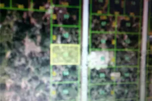 10393 Port Everglades St, Port Charlotte, FL 33981 - Photo 1