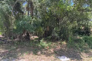 18431 Fremont Ave, Port Charlotte, FL 33954 - Photo 1