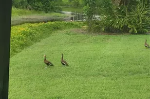 482 Pendleton Pl, Venice, FL 34292 - Photo 48