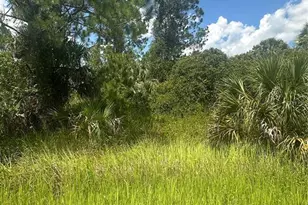 Hampshire Circle, North Port, FL 34288 - Photo 1