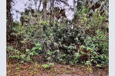 Lot 24 Campbell Street, North Port, FL 34288 - Photo 2