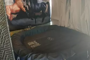 6687 Hauli Ct, North Port, FL 34287 - Photo 48